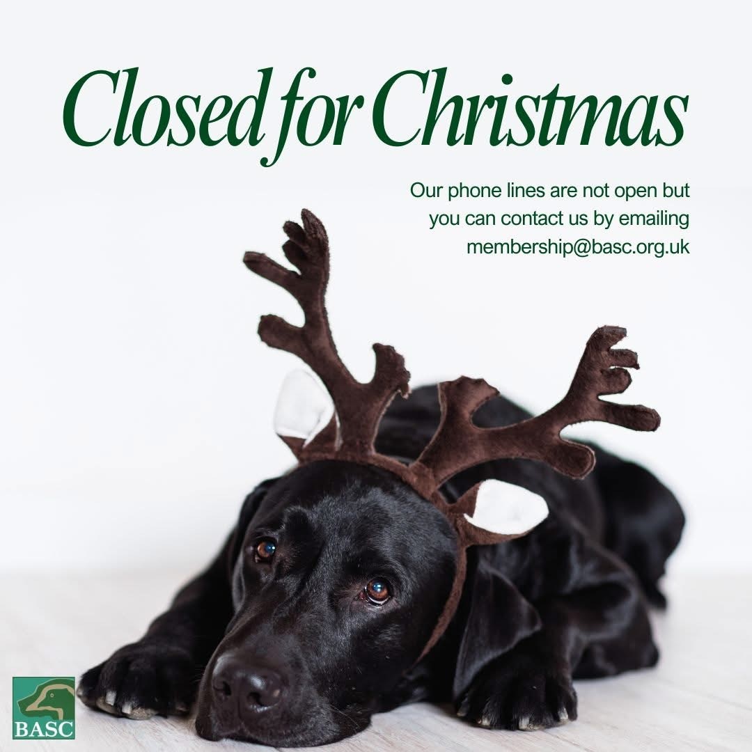 BASC Scotland (@bascscotland) on Twitter photo 🎄The BASC Scotland office is now closed for Christmas. We'll be back on 3rd January.
Several staff members will be on duty in case of emergency & our membership team will be handling new memberships over the festive season. Please contact us by emailing membership@basc.org.uk 🎄The BASC Scotland office is now closed for Christmas. We'll be back on 3rd January.
Several staff members will be on duty in case of emergency & our membership team will be handling new memberships over the festive season. Please contact us by emailing membership@basc.org.uk