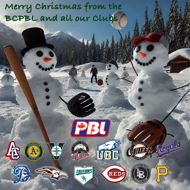 🎄⚾️ Merry Christmas from the BCPBL! ⚾️🎄

Wishing all our players, coaches, families, and fans a joyful holiday season filled with love &amp; laughter.

Thank you for being part of our baseball family!