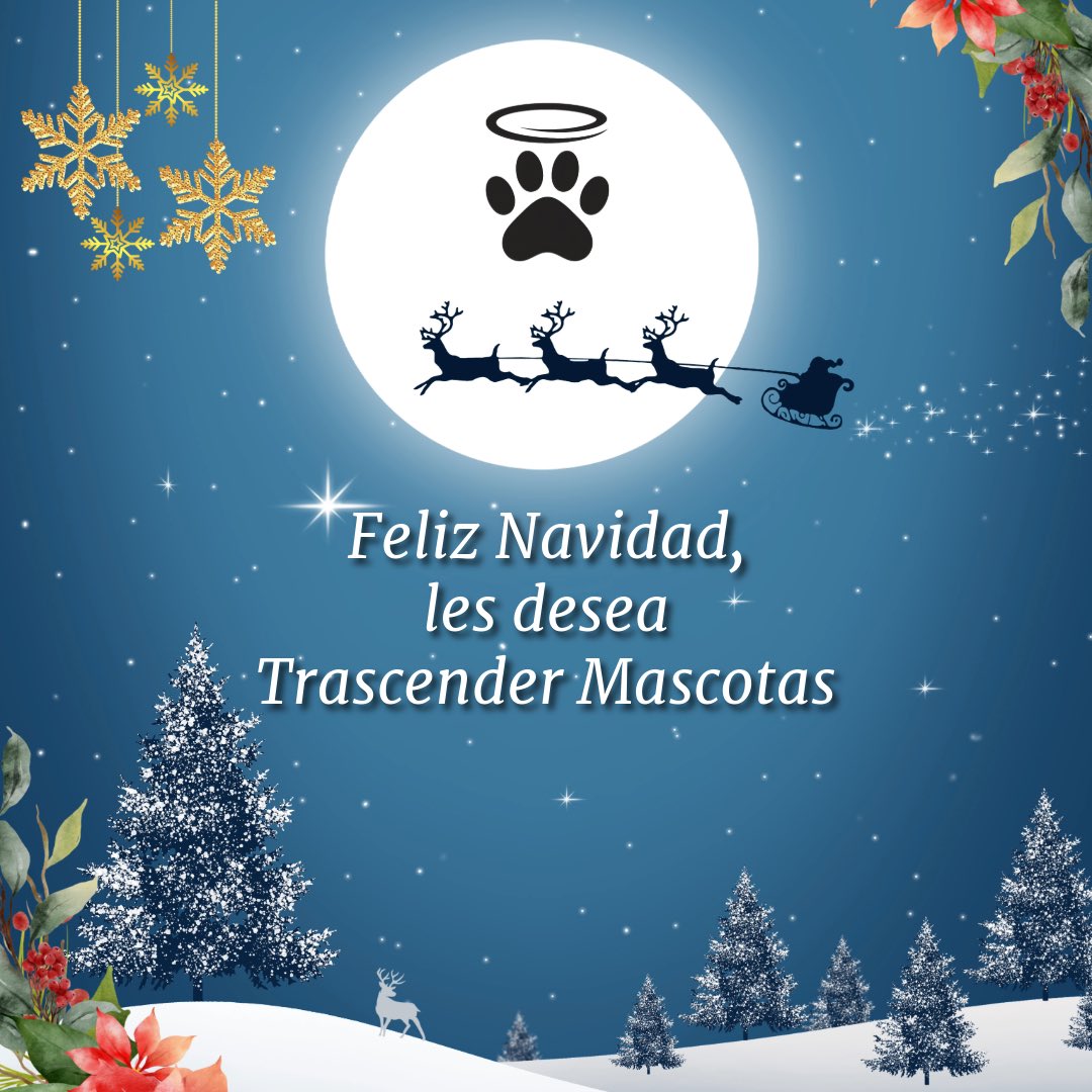 trascender2024's tweet image. #feliznavidad #nochebuena #mascotas #veterinarias #veterinarios #tiendademascotas