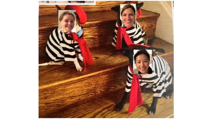 JHH Vascular Surgery (@jhhvascular) on Twitter photo Merry Christmas and happy holidays from the <a href="/JHHVascular/">JHH Vascular Surgery</a> fellows! Special thanks to our amazing program director Dr. Abularrage for providing us with adorable puppy photos we can crop our faces in. #vascularfellows #vascularfellowship Merry Christmas and happy holidays from the <a href="/JHHVascular/">JHH Vascular Surgery</a> fellows! Special thanks to our amazing program director Dr. Abularrage for providing us with adorable puppy photos we can crop our faces in. #vascularfellows #vascularfellowship
