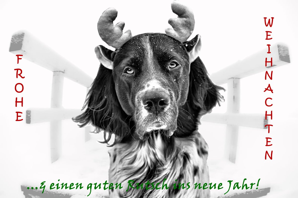 gnipped's tweet image. Ho Ho Ho!