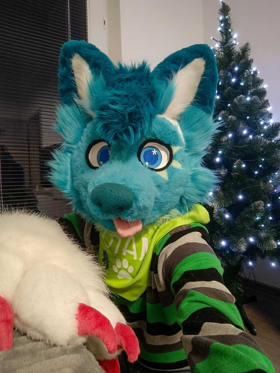 💙💚 Wish you all merry Christmas 🎁🎄 💚💙

📷 🙈
🧵 <a href="/Bambilijas/">Bambilijas</a> + <a href="/RokajTheHusky/">Rokaj 🔜NFC</a> 🥰

#MerryChristmas
#MerryChristmas2024
#HappyChristmas
#furry #furrsuit #fursuiter #furryfandom #furries #furryhusky