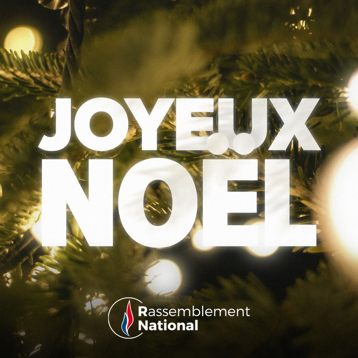 🇫🇷 Le Rassemblement National vous souhaite un bon réveillon et un très joyeux Noël ! 🌟🎄