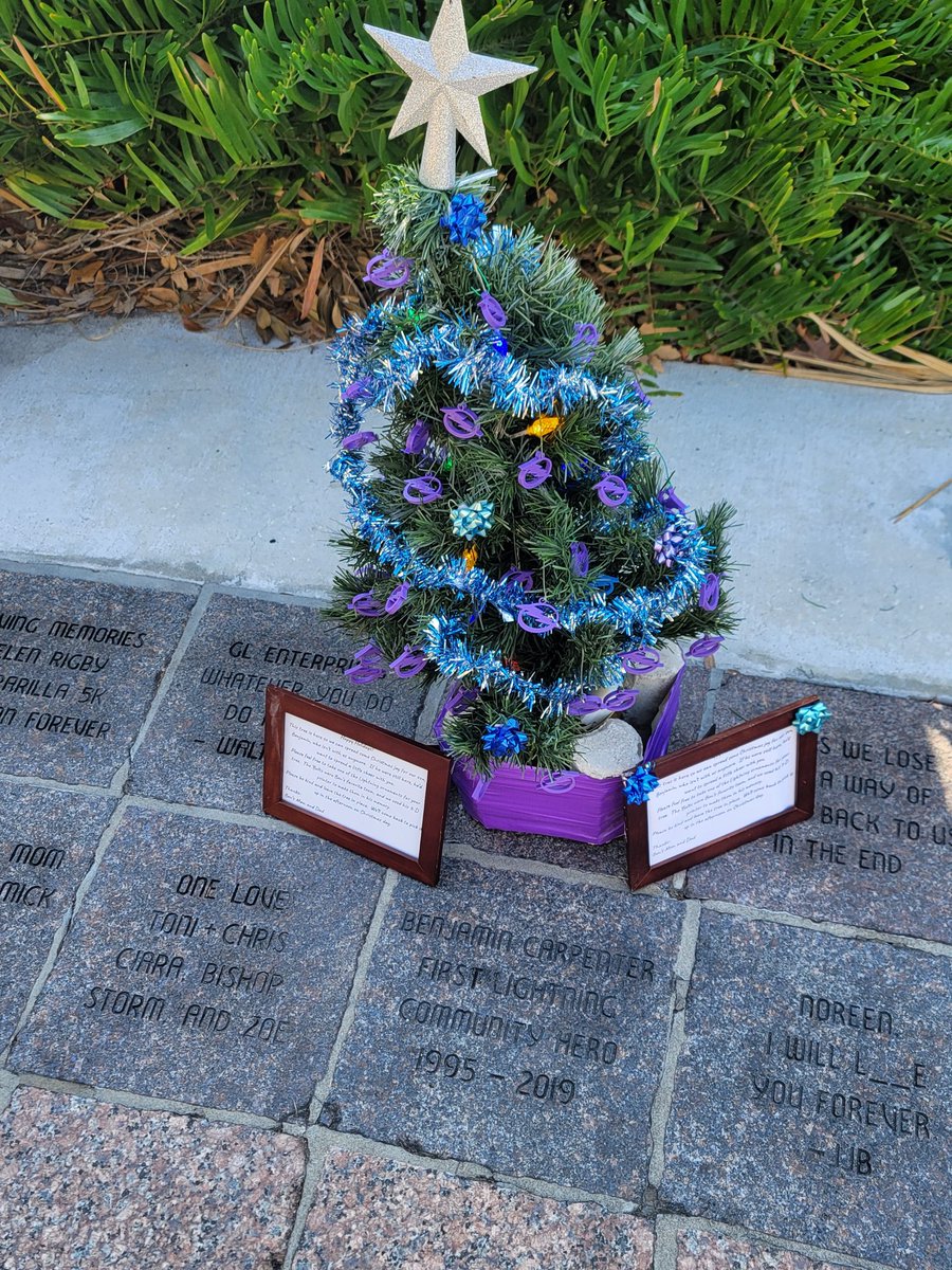 The tree is up!  Happy holidays

#BenThere