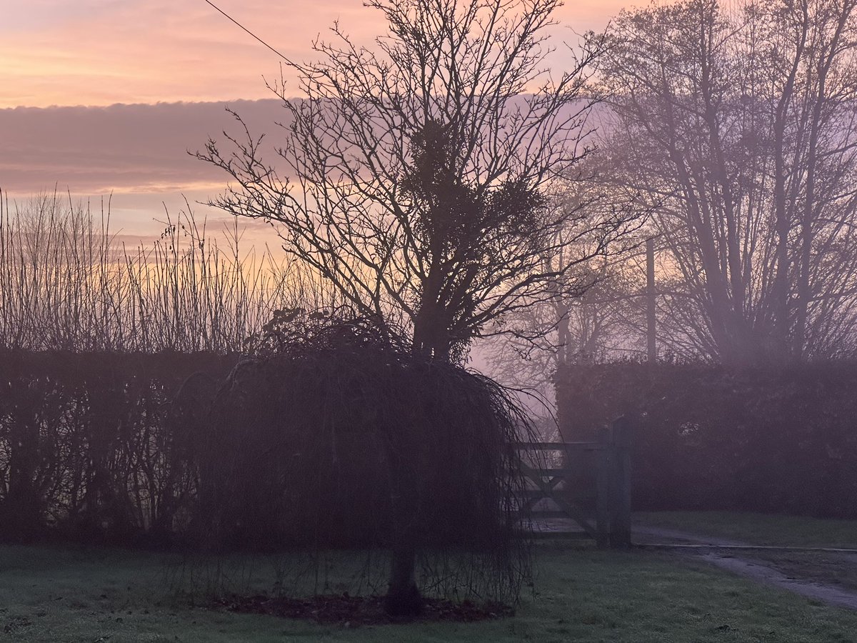 No snow, but a golden gloom descending over Gloucestershire as December 25th approaches. Happy Christmas to all NTU colleagues, students, alumni, friends and partners who follow me on X. And also to all those who are just curious.
