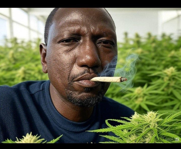 AokoOtieno_'s tweet photo. Hii nayo kama team Mary Jane, we feel disrespected 

Nuh, can't put us together with this Bomboclat ! 

This ain't no Rasta, this is a madafaka 

He doesn't meditate, he circumvents, he pontificates, 

Put some respect on the consciousness of da neishon

Find another image! 🤧🚶 https://t.co/R3TWQdHzYn