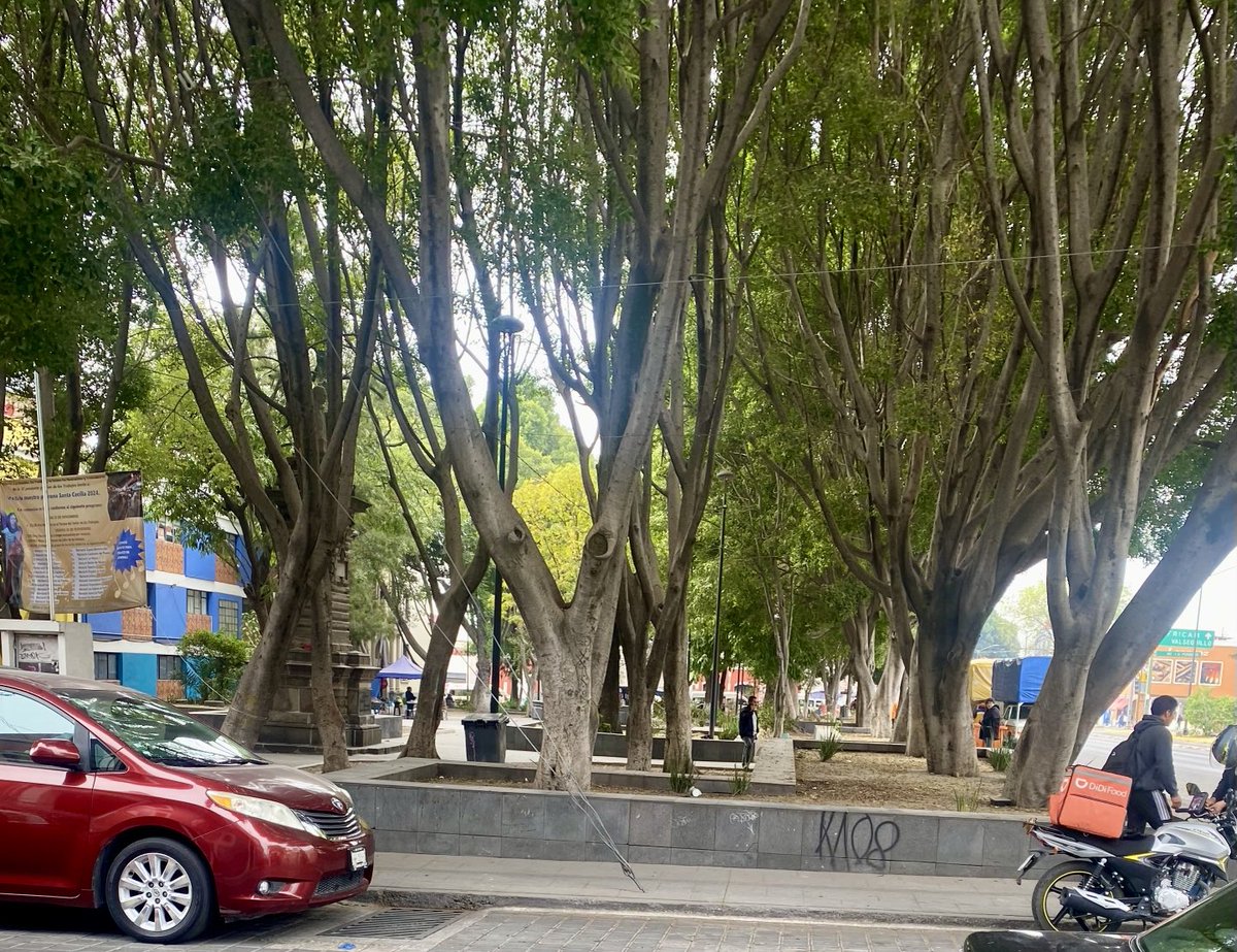 JMENENDEZB's tweet photo. Parque del Señor de los Trabajos. Muy limpio y poblado de árboles.     El alumbrado está desconectado y en la noche se necesita. Aquí también están los mariachis ofreciendo sus canciones. https://t.co/V2TpSG8gCF
