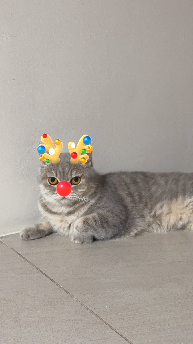 merry christmas 🎄