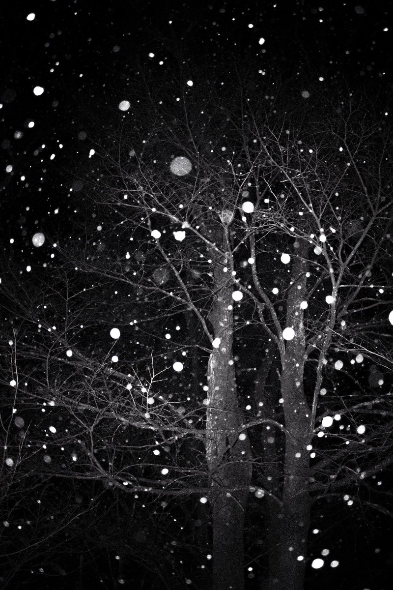 del_art___'s tweet photo. I miss the snow on my skin… https://t.co/YKz7qQxaEF