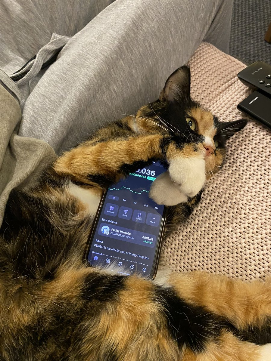 c2ec2ec2e's tweet image. Thank you $PENGU, kitty is happy 
@pudgypenguins 🐧