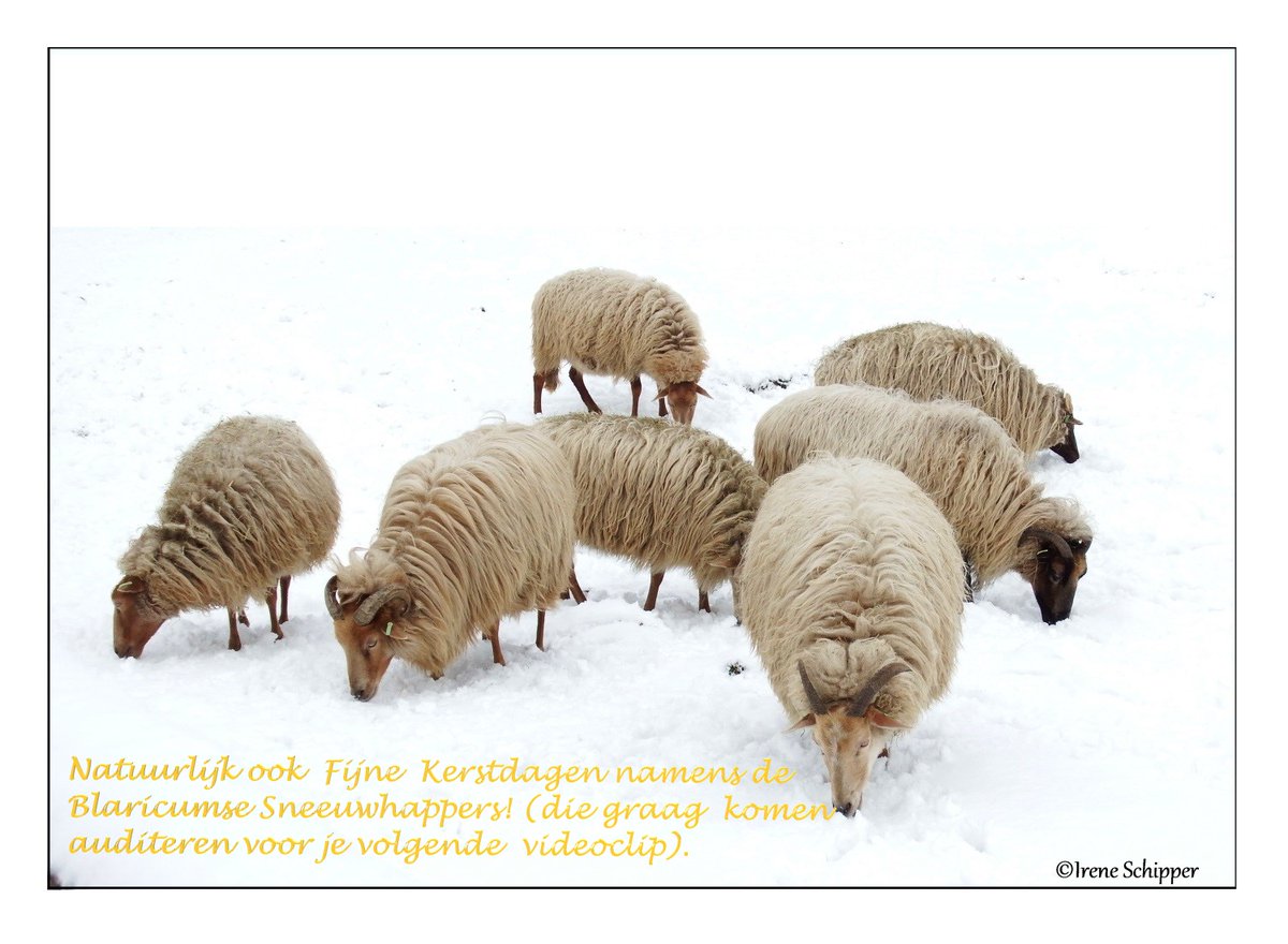 Irene Schipper tweet media