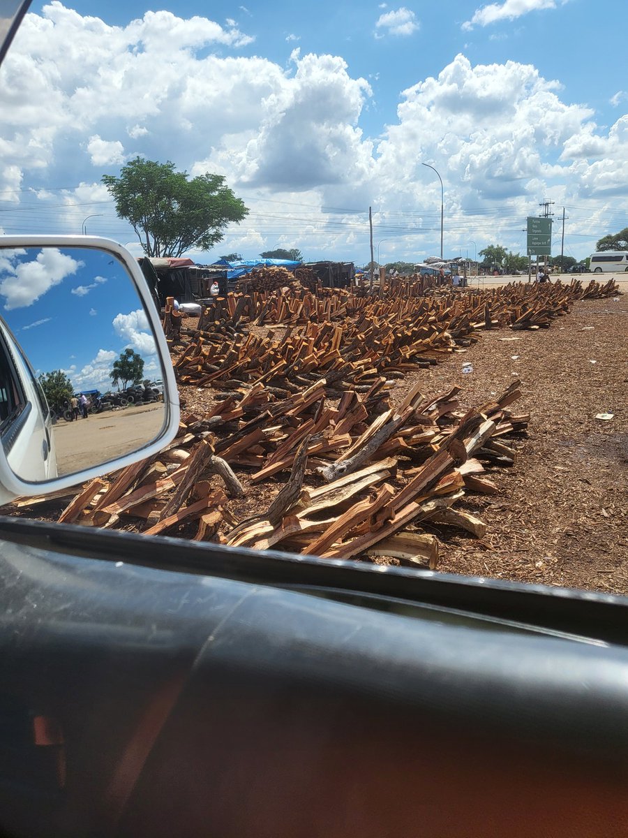 Iganga laphela sikhangele ngabe kuyaqiniswa imithetho enqabela ukutheza mahlayana.Khonapho abathengisayo ngaba kwezinye izindawo ezikhatshana bezodudula igusu sibukele#Byo#@CiteZimbabwe