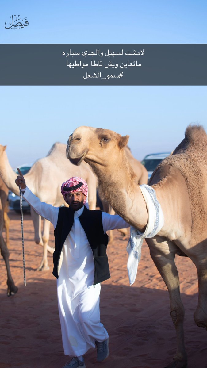 سمو الشعل صاحبها رجل الاعمال : مشعل بن مطلق الزيادي 

#مهرجان_الملك_عبدالعزيز_للإبل9 #مهيوبات_الشعل #مهيوبات #عتيبه_الهيلا #ابن_حميد #حرش_العراقيب #الزيادي