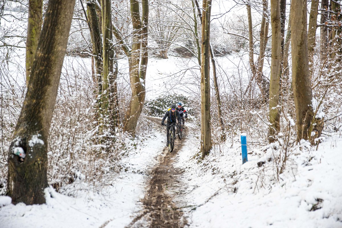 Fijne Kerstdagen en alle goeds voor het nieuwe jaar!
Geniet van elkaar tijdens deze gezellige dagen en alle goeds voor 2025.

Team #mozl