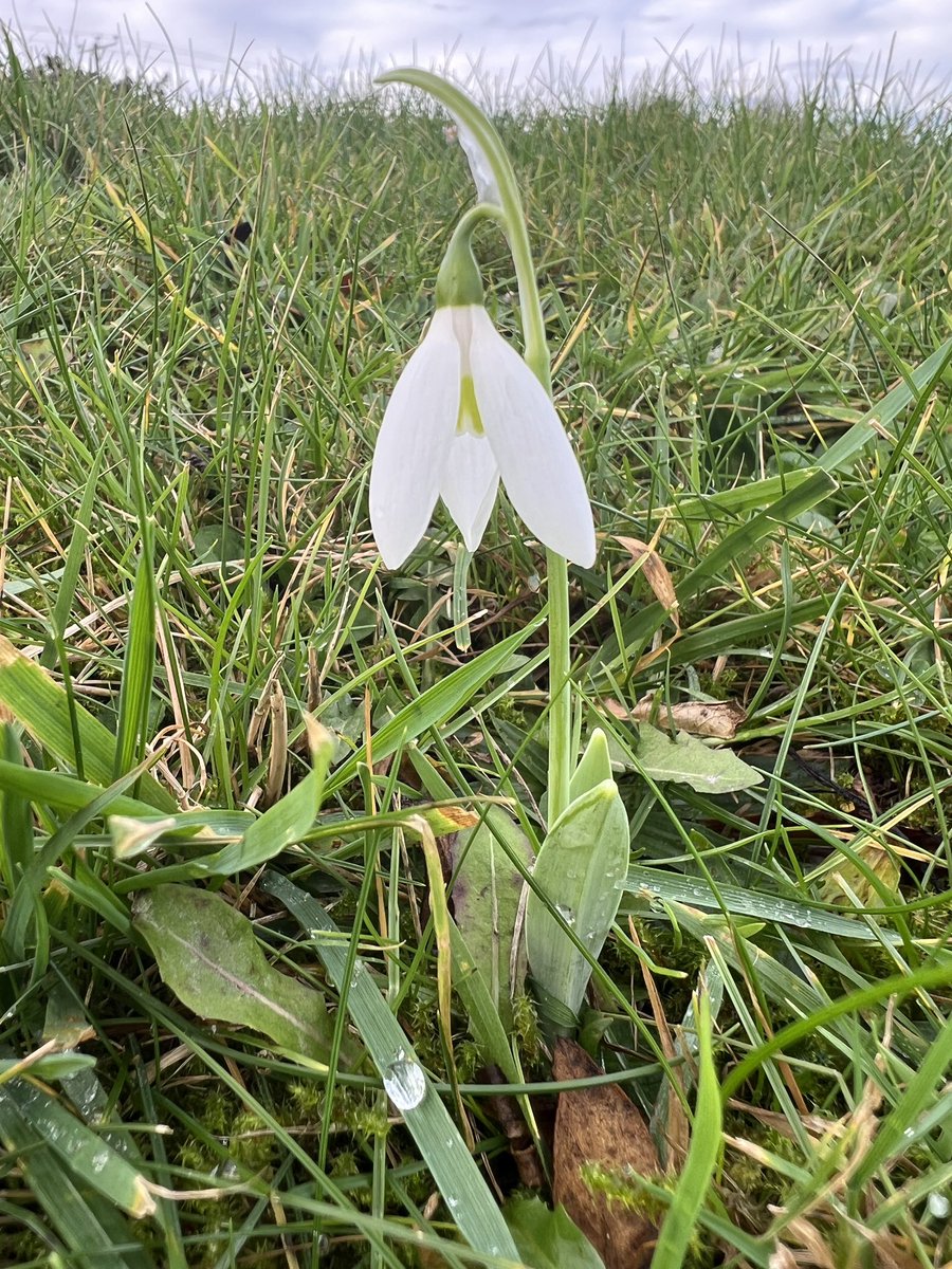 Chrys mellor tweet media