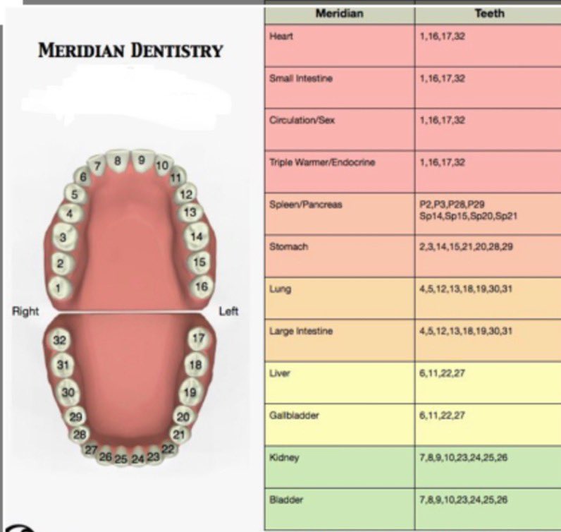 Her diş’e can veren,  besleyen bir meridyen vardır. Meridyen blokajı sonucu diş ve diş eti sorunları ortaya çıkar. Örneğin: Öndeki kesici dişler, korku ile bloke olan böbrek ve idrar kesesi meridyenleriyle ilgilidir. Köpek dişleri, öfke ile bloke olan karaciğer ve safra kesesi