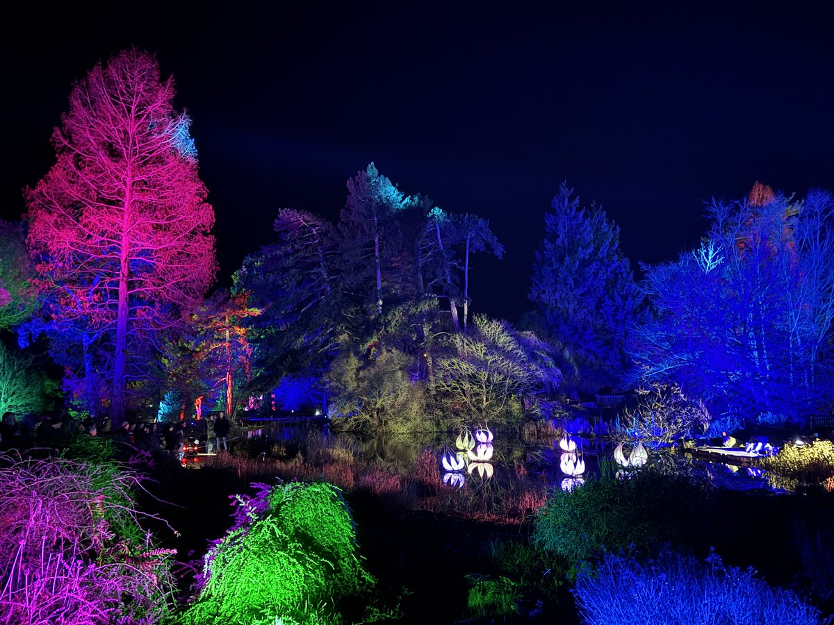 Charlot King tweet media