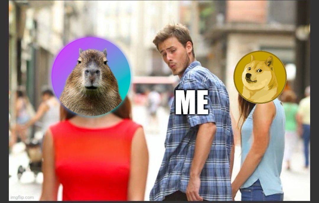 Capybaraworld | $CAPY tweet media