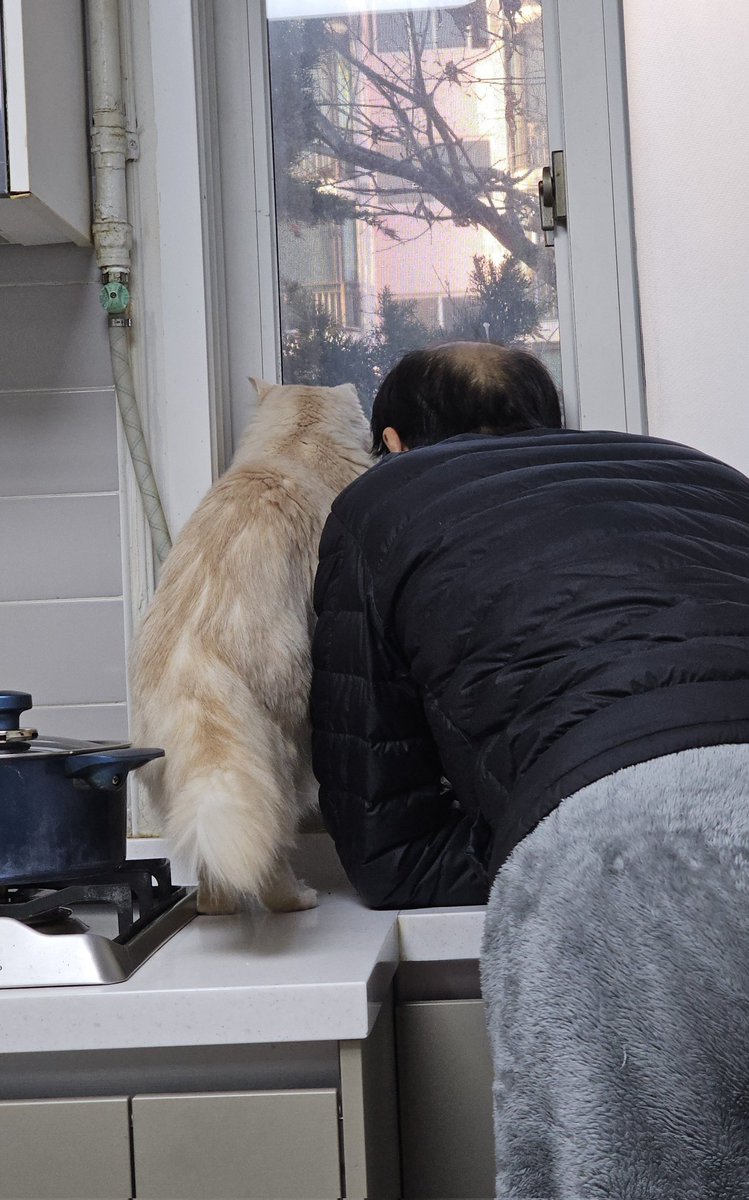 배달 기사님 언제오나 아빠랑 본가고영 나란히 내다볼때 넘 웃겼음