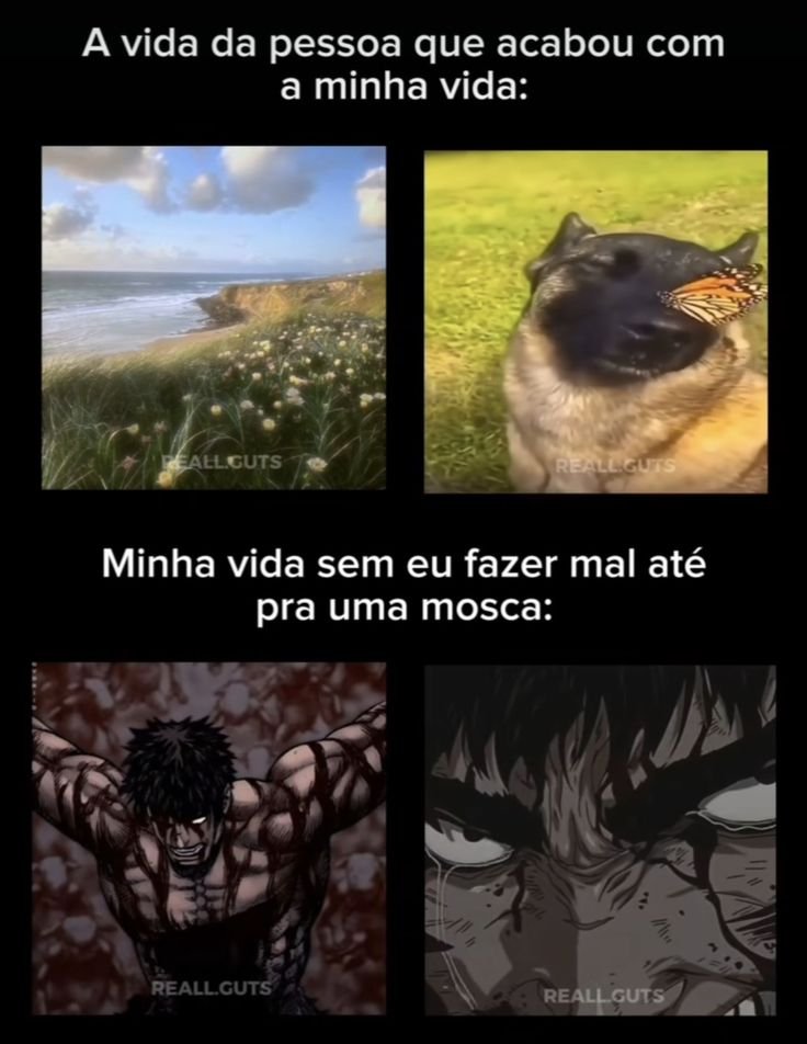 TerrorCotidiano's tweet photo. https://t.co/H7OlO7BPGL