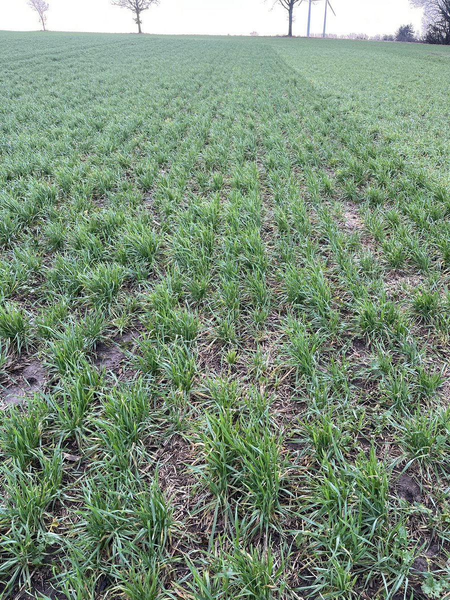 Frederik V. Larsen tweet media