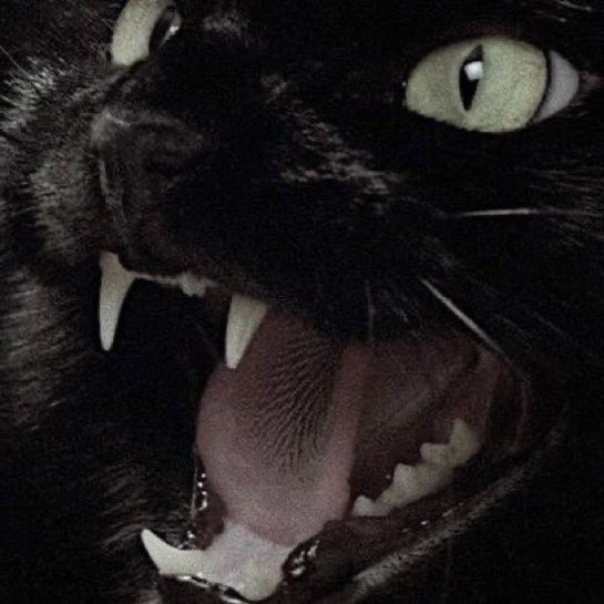 eternalorphic's tweet image. “Wei Wuxian!”                           “Lan Wangji!”