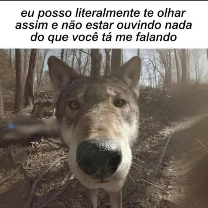 Terror do Cotidiano (@terrorcotidiano) on Twitter photo 