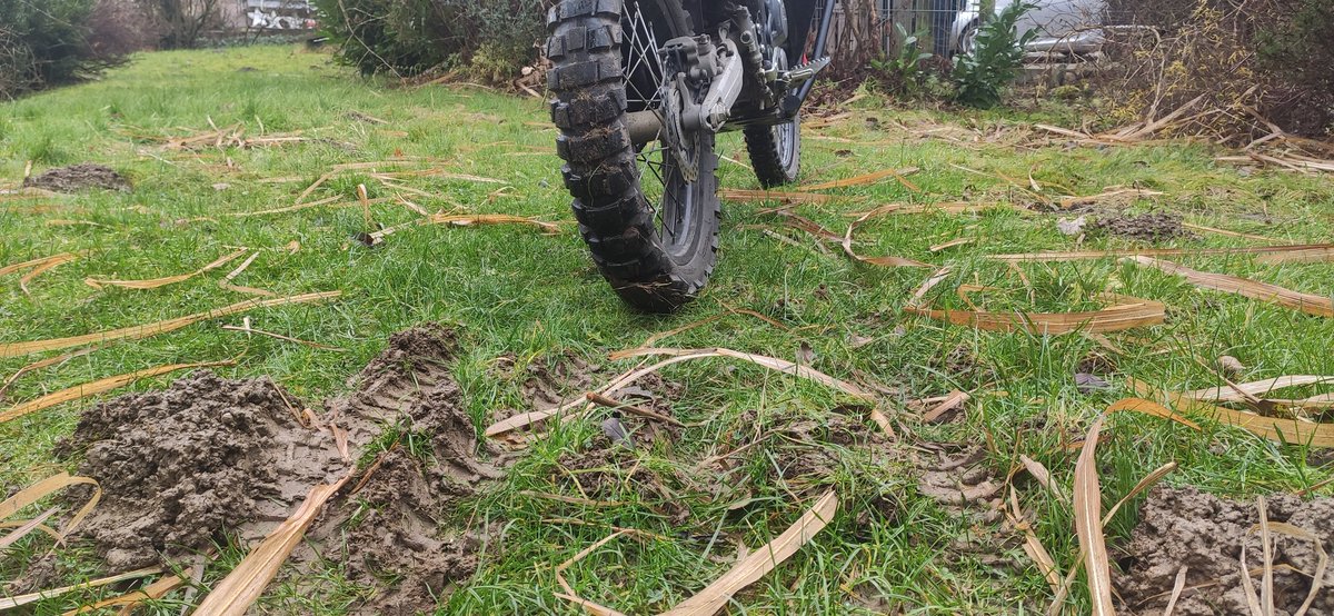 @MrTransalp@troet.cafe tweet media