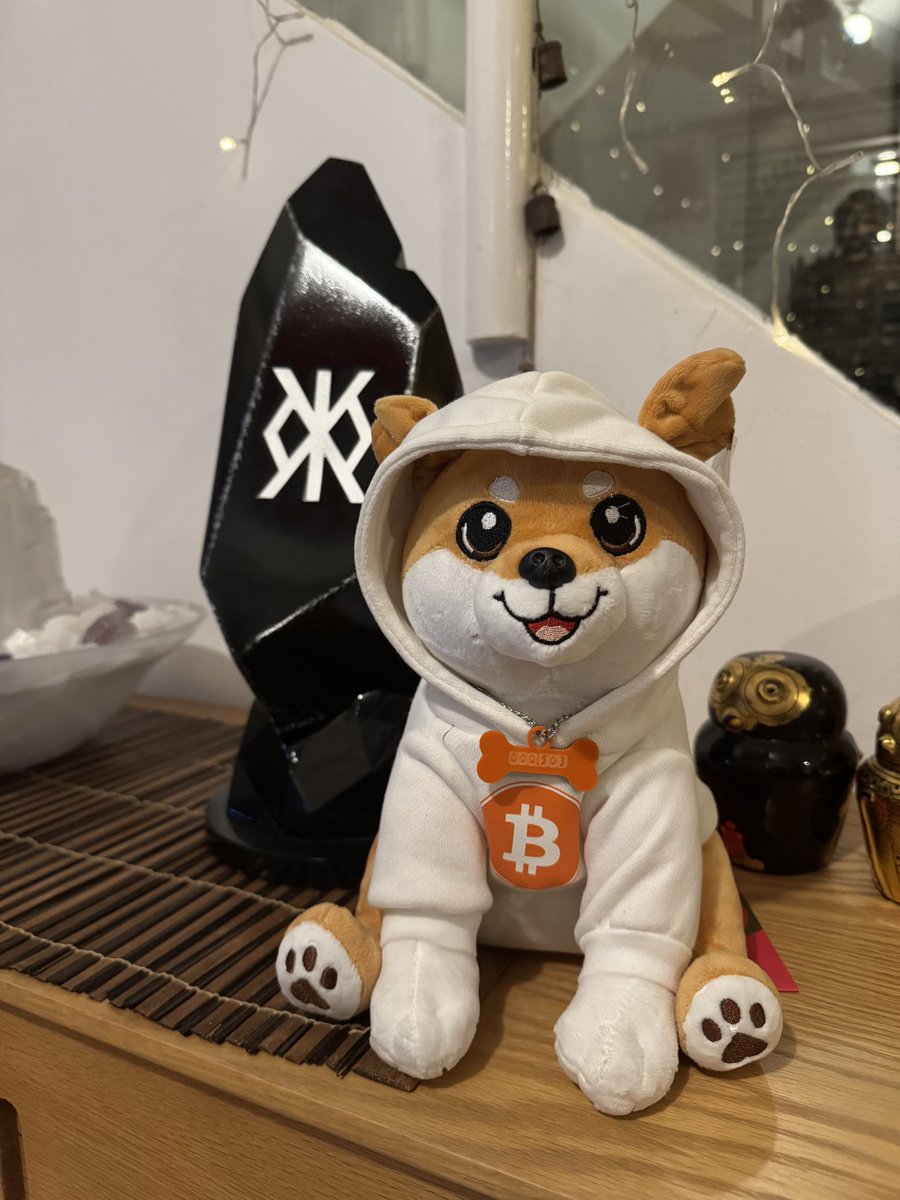 Look what Santa brought me for Christmas <a href="/LeonidasNFT/">Leonidas 🧡 $DOG</a> @VittoPantoliano