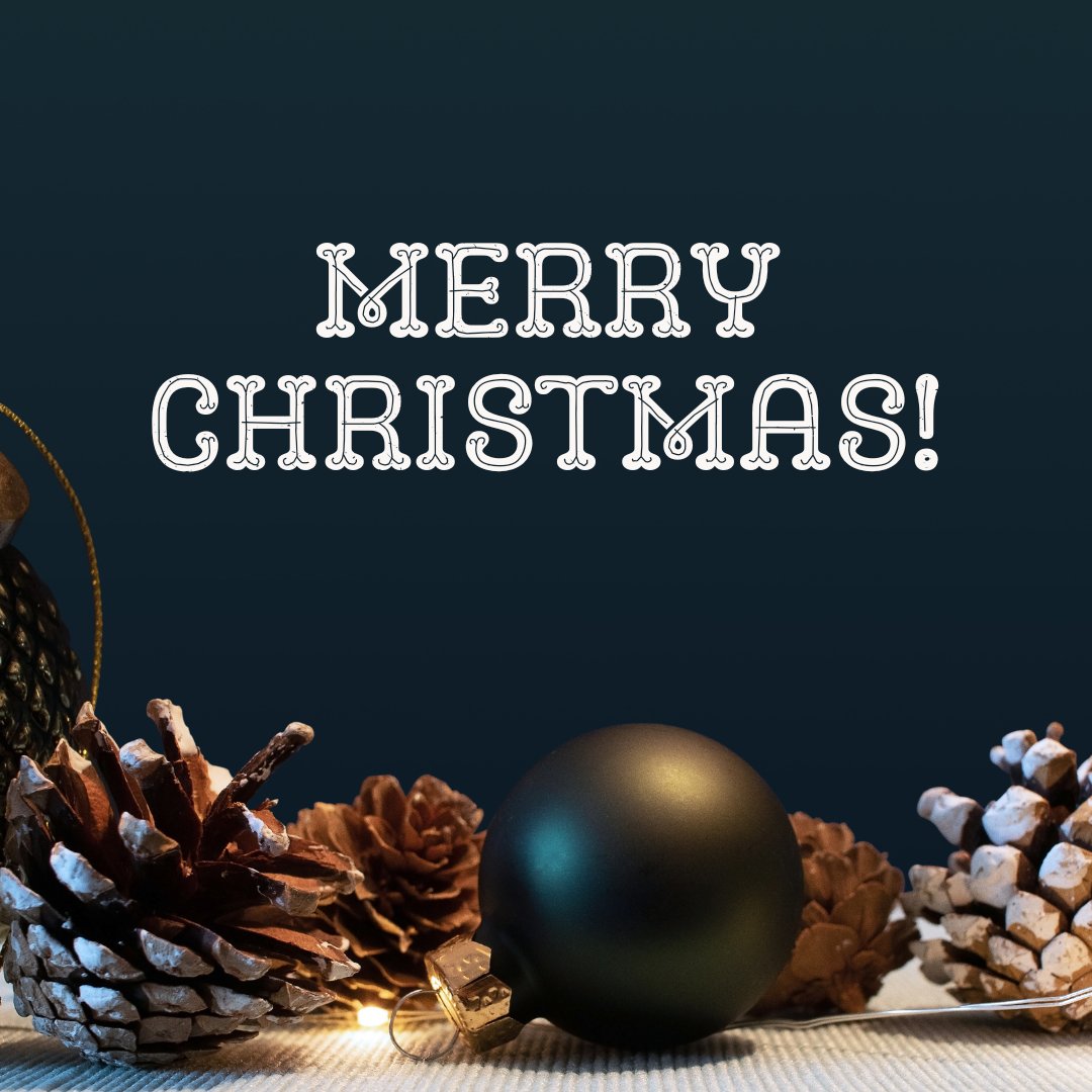 PPSRecovery's tweet image. Merry Christmas from everyone at PPS! Whatever your plans are we hope you enjoy the festive period and a well deserved break. See you in the New Year!