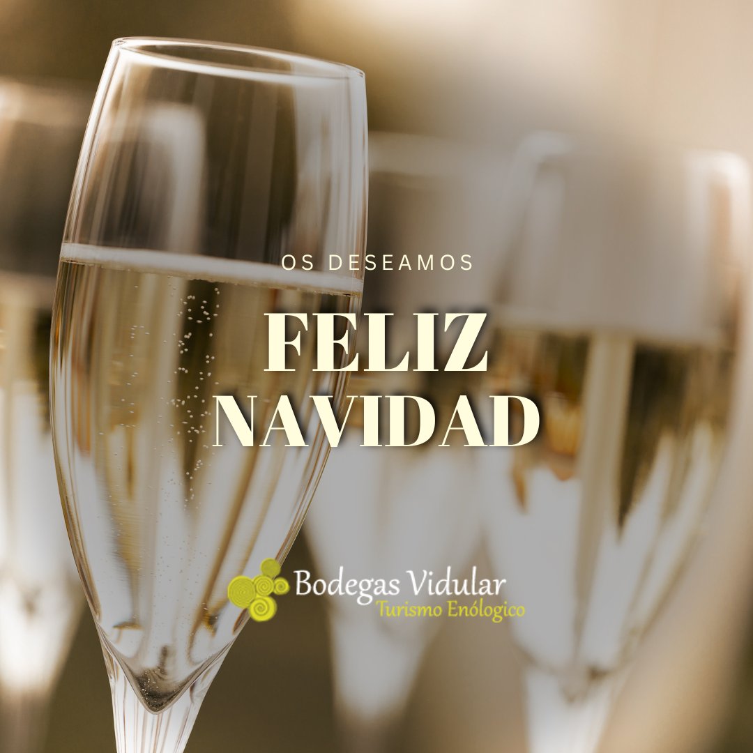 En Bodegas Vidular queremos desearte una Navidad llena de buenos momentos 🎄🍷 ¡Felices Fiestas!

#FelizNavidad #bodegasvidular