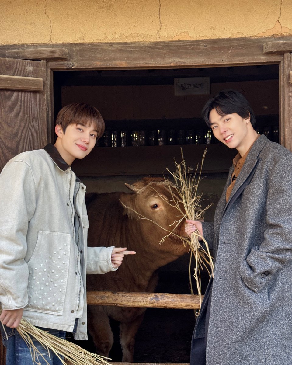 NCTsmtown's tweet photo. 𓂃⊹🐮🌾

#JOHNNY #쟈니 #JUNGWOO #정우 
#NCT #NCT127
#JCC #JCC민속촌 https://t.co/ssgKkxmkVF