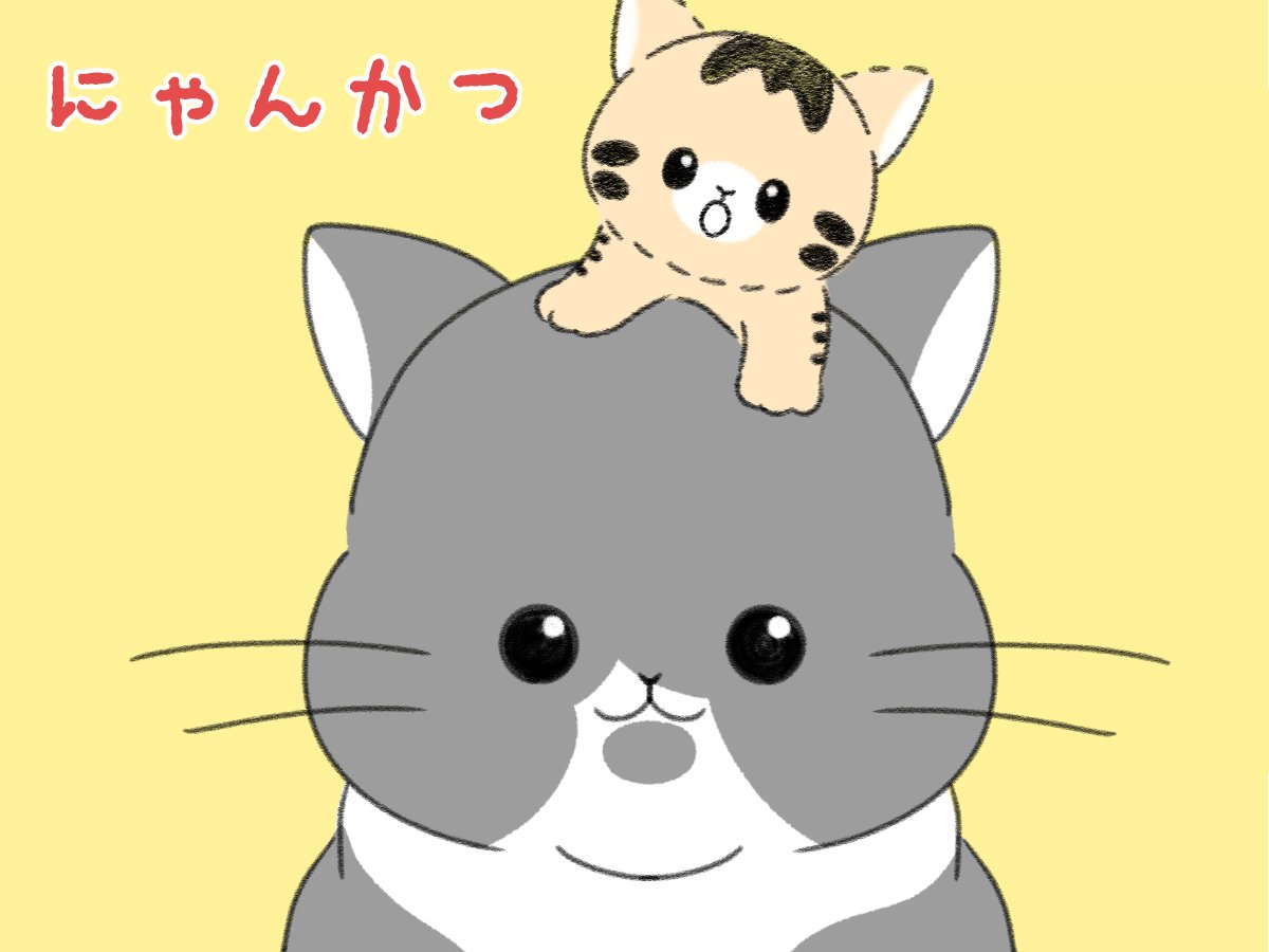 にゃんかつ (@nyankatsu49) / Posts / X