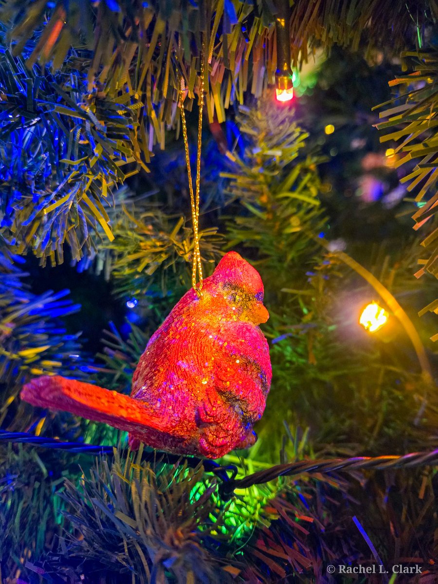 Rachel Clark tweet media