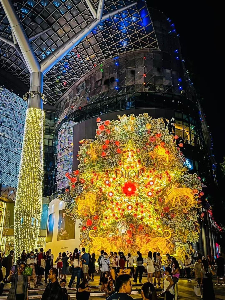 dvcdfccc's tweet image. Who is by your side today?