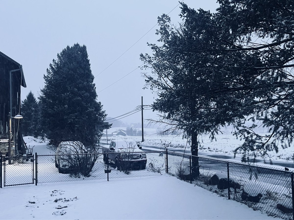 Happy Christmas Eve! That’s not B&amp;W that’s snow! ⛄️ It’s snow on Christmas Eve. Never can I remember this before.🤞🏻Hopefully it’s a positive sign 🙏🏻📿We need good juju BooBoo 😇 ❤️💚🌲