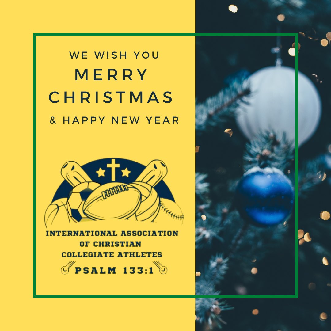 Merry Christmas from the IACCA, Inc. 💛💙🙏🏼🎄