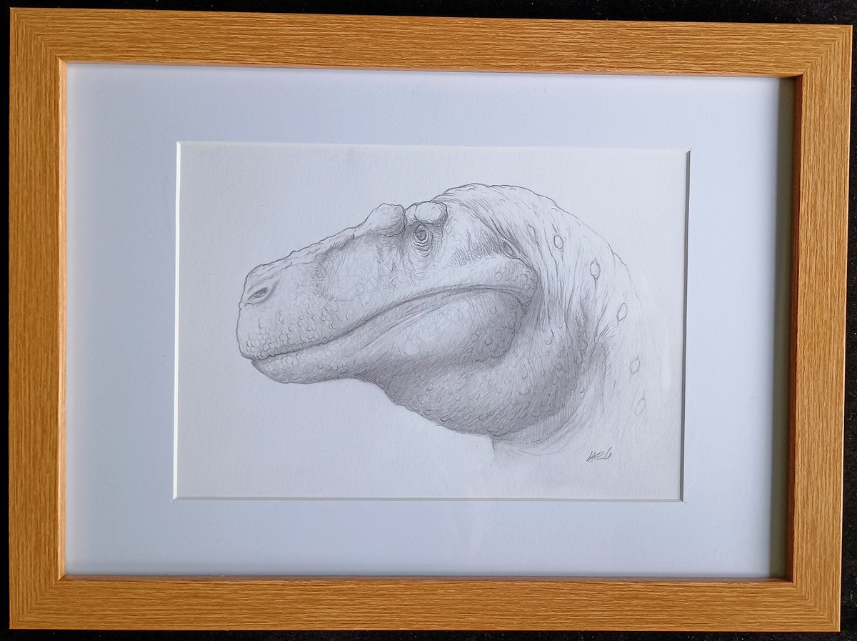 Uitlander's tweet image. My amazing dinosaur family is now all gathered for Christmas courtesy of @DragonsofWales - the very talented Andy, who is doing an XMAS fundraiser for his local foodbank &amp;amp; MSF by selling one original picture a day. Absolutley delighted with them all!