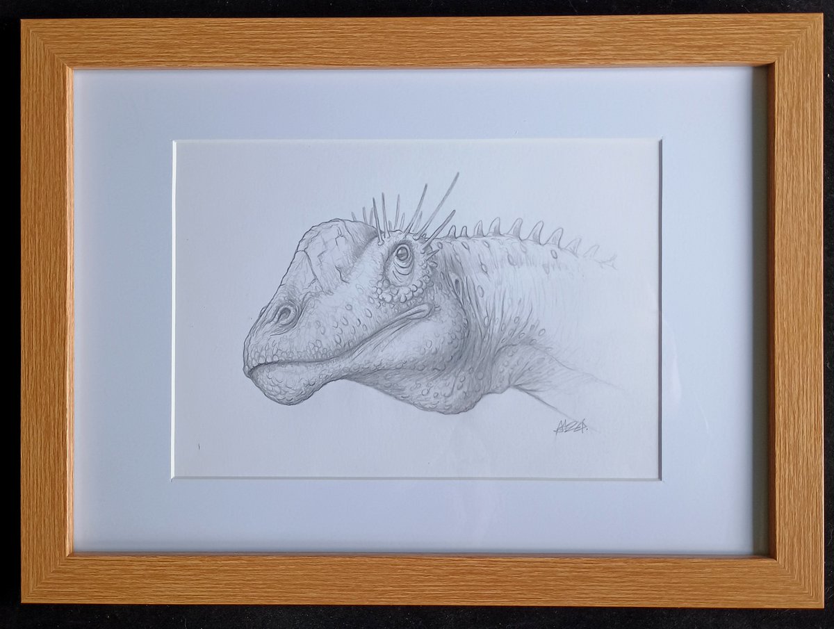 Uitlander's tweet image. My amazing dinosaur family is now all gathered for Christmas courtesy of @DragonsofWales - the very talented Andy, who is doing an XMAS fundraiser for his local foodbank &amp;amp; MSF by selling one original picture a day. Absolutley delighted with them all!