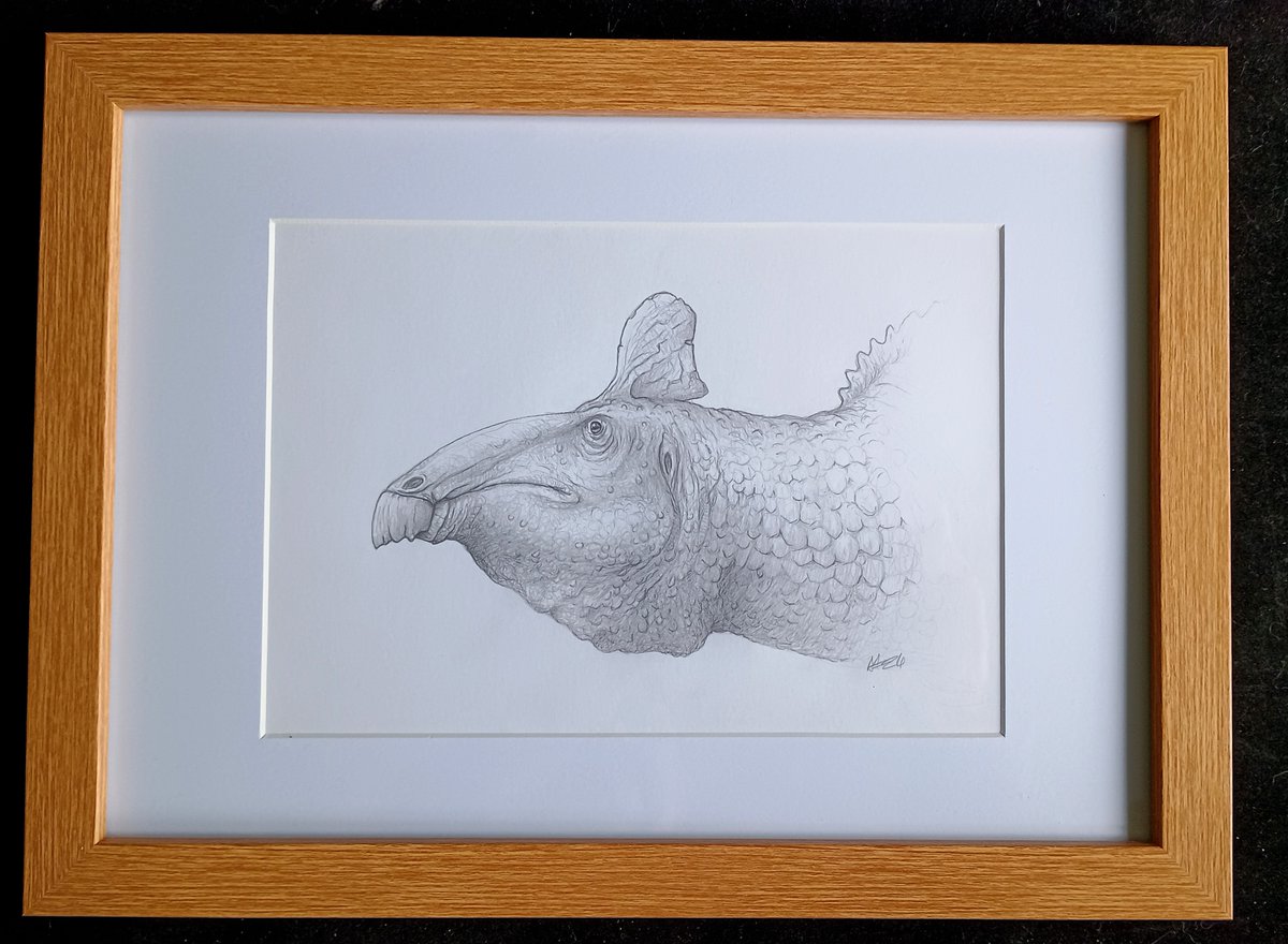 Uitlander's tweet image. My amazing dinosaur family is now all gathered for Christmas courtesy of @DragonsofWales - the very talented Andy, who is doing an XMAS fundraiser for his local foodbank &amp;amp; MSF by selling one original picture a day. Absolutley delighted with them all!