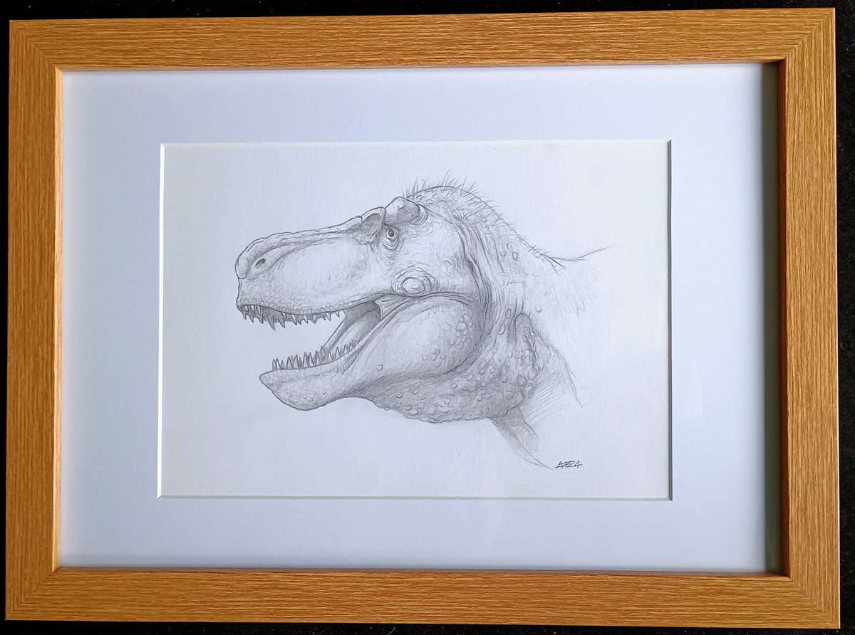 Uitlander's tweet image. My amazing dinosaur family is now all gathered for Christmas courtesy of @DragonsofWales - the very talented Andy, who is doing an XMAS fundraiser for his local foodbank &amp;amp; MSF by selling one original picture a day. Absolutley delighted with them all!