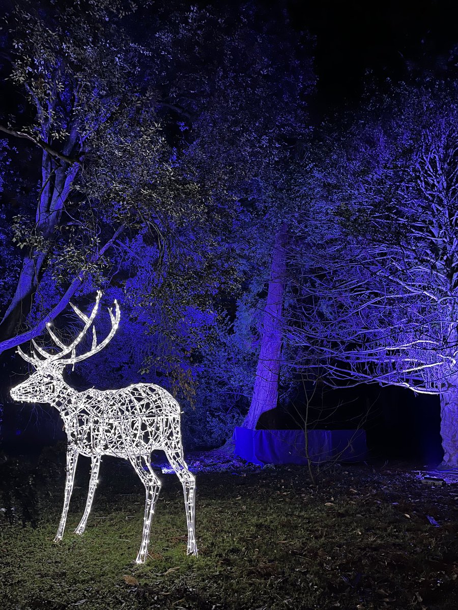 To our clients, staff, students and supporters, a very happy and peaceful Christmas. Thank you for your trust and generosity during the year.