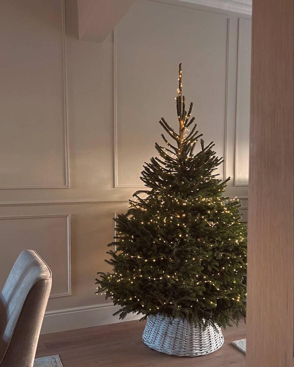 Merry Christmas! 🎄
 Wishing you a Merry Christmas and everlasting joy in your life.