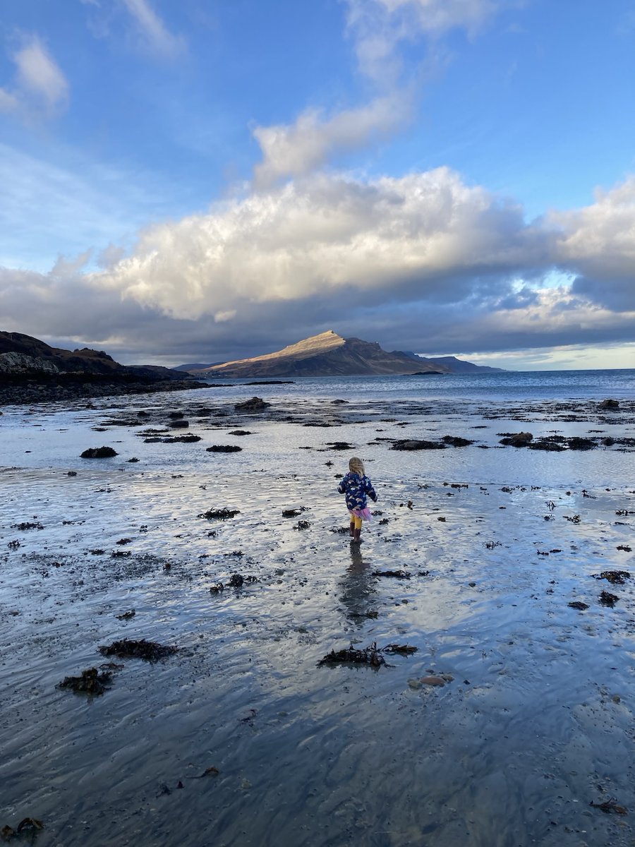'My daughter will locate her first memories from around this time, my emerging words mapped onto the memories she lays down. She too has found her words this year, vocabulary exploding: foxglove, robin, fresh.'

<a href="/lloydbethanr/">Bethan Roberts</a> marks four winters on Skye buff.ly/4gS3eAG