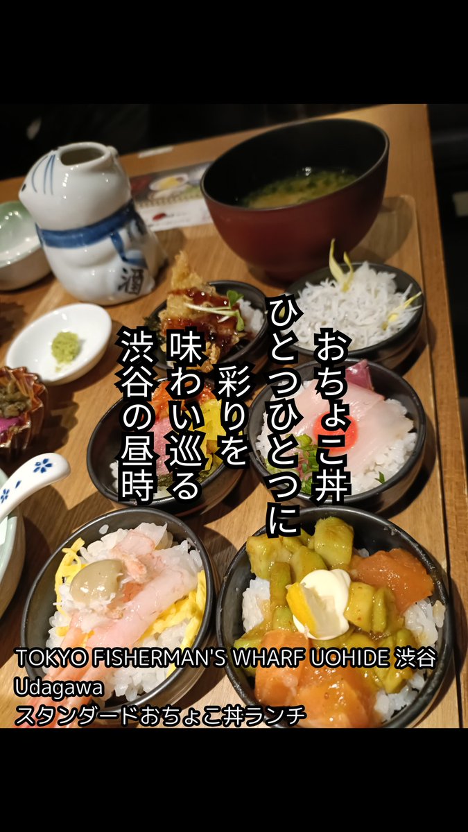 mura277845689's tweet photo. おちょこ丼　ひとつひとつに　彩りを　味わい巡る　渋谷の昼時

「TOKYO FISHERMAN'S WHARF UOHIDE 渋谷 Udagawa」さんで「スタンダードおちょこ丼ランチ」をいただきました。
ちょっとずついろんな丼が食べられます。
訪問時の食べログスコアは3.41です。

#短歌
#UOHIDE https://t.co/p1AWg7do4c