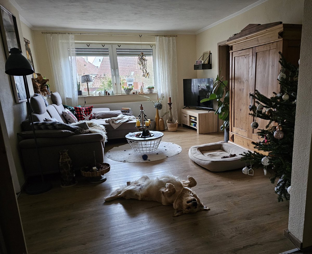 Bombi_Metall mit Herz tweet media