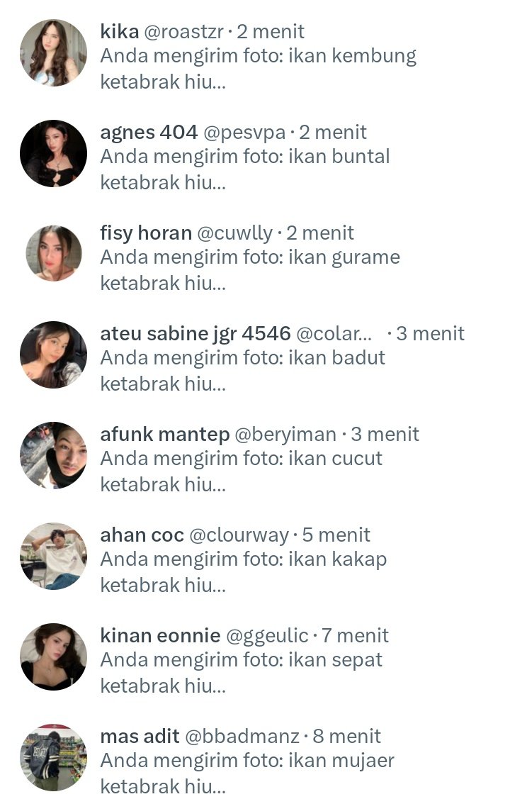 bita jkt tweet media