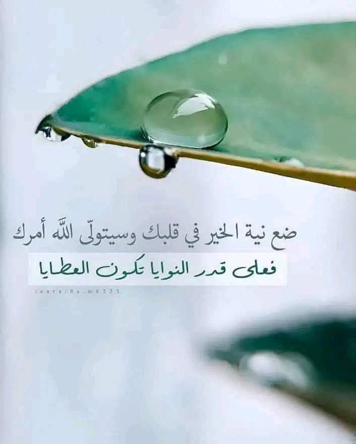 SLdbh97863's tweet photo. وَمَا تَفْعَلُوا مِنْ خَيْرٍ يَعْلَمْهُ اللَّهُ المعروف لا يضيع وإن ضاع عند الناس فلن يضيع عند الله https://t.co/vbApvwSOr8