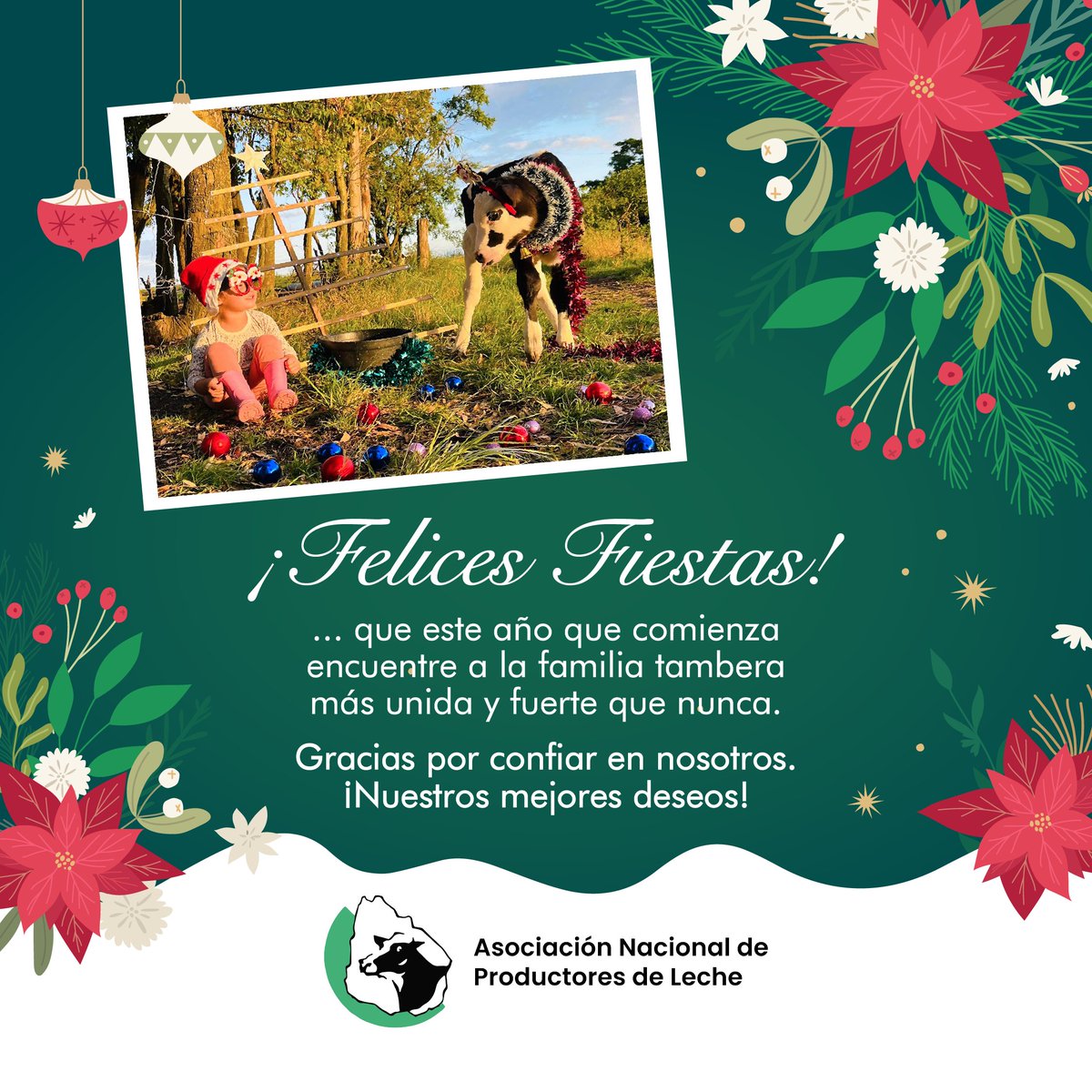 anpl_uy's tweet photo. ¡Felices Fiestas para toda la familia tambera! 🎄🥂👏🏽 Son nuestros deseos para este 2025 ✨🐄
#ANPL https://t.co/ne9NPsu3uT