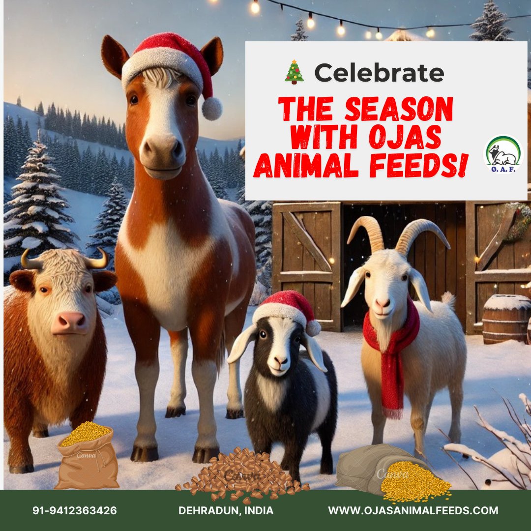 Ojas Animal Feeds (@FeedsOjas) / Posts / X